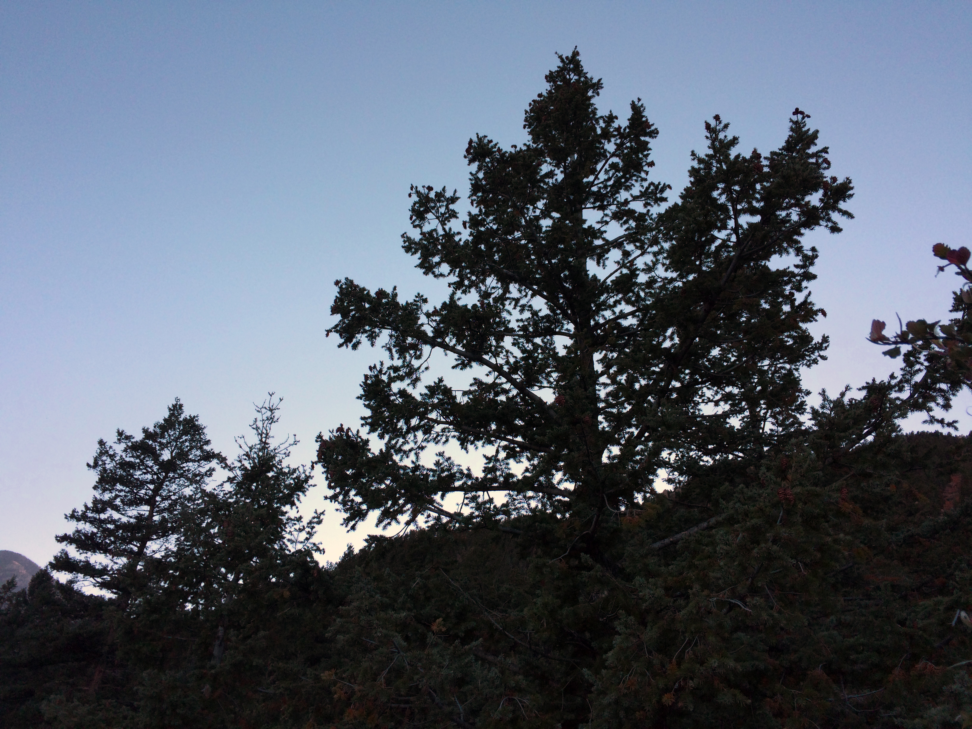 1. Manitou Incline 1